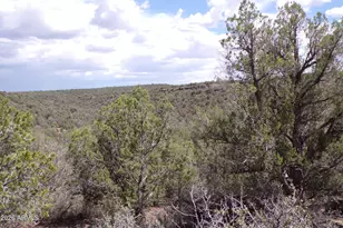 4619 N Lookout Cyn Rd, Kingman, AZ 86401 - Photo 24