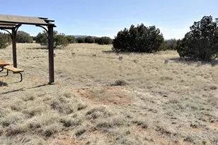 12 N8543, Concho, AZ 85924 - Photo 68