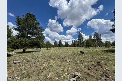 3363 N Spring Valley Road, Parks, AZ 86018 - Photo 34