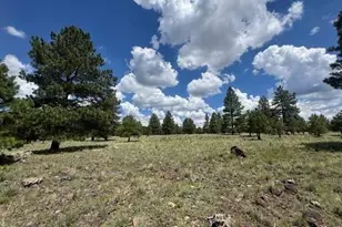 3363 N Spring Valley Rd, Parks, AZ 86018 - Photo 34