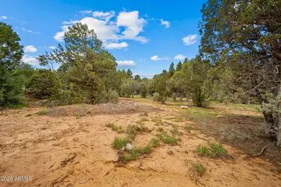 1300 N Fairway Lane #'-', Show Low, AZ 85901 - Photo 14