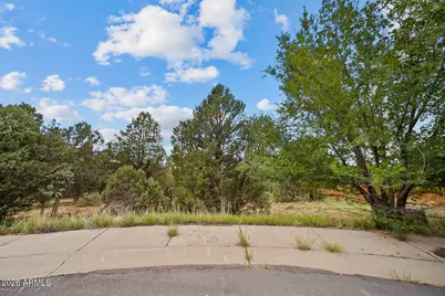 1300 N Fairway Lane #'-', Show Low, AZ 85901 - Photo 12