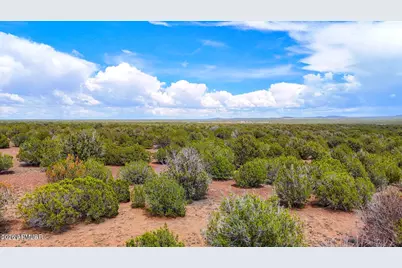 0 Gample Ln 13 Acres (Lot A) -- #-, Show Low, AZ 85901 - Photo 12
