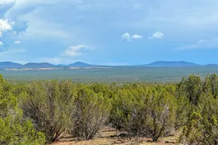 0 Gample Ln 13 Acres (Lot A) --, Show Low, AZ 85901 - Photo 1