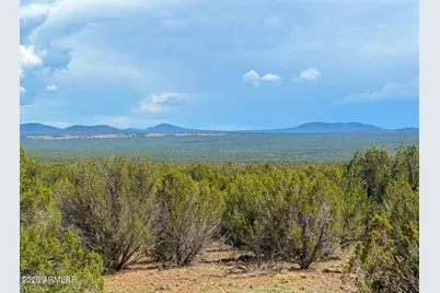 0 Gample Ln 13 Acres (Lot B) -- #-, Show Low, AZ 85901 - Photo 6