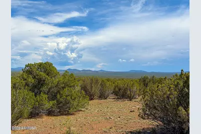 0 Gample Ln 13 Acres (Lot B) -- #-, Show Low, AZ 85901 - Photo 14