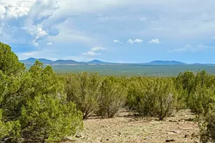 0 Gample Ln 13 Acres (Lot B) --, Show Low, AZ 85901 - Photo 1