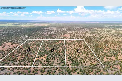 0 Gample Ln 13 Acres (Lot C) -- #-, Show Low, AZ 85901 - Photo 1