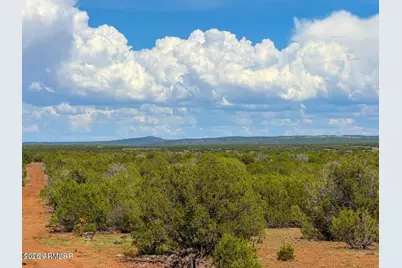 0 Gample Ln 13 Acres (Lot C) -- #-, Show Low, AZ 85901 - Photo 4
