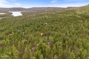 26 N1062, Greer, AZ 85927 - Photo 40