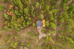26 N1062, Greer, AZ 85927 - Photo 38