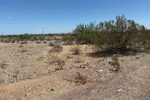 0 W Pampas Grass Rd, Maricopa, AZ 85139 - Photo 1