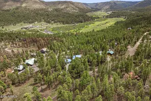 31 County Road N1022 --, Greer, AZ 85927 - Photo 30