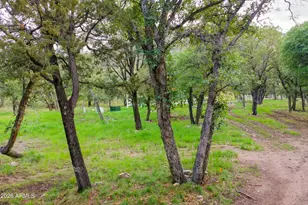221 E Oso Trail, Hereford, AZ 85615 - Photo 52