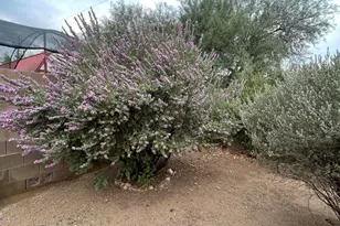 34270 S Bertha St, Black Canyon City, AZ 85324 - Photo 22