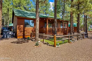 2715 High Pine Loop, Overgaard, AZ 85933 - Photo 28