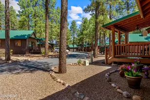 2715 High Pine Loop, Overgaard, AZ 85933 - Photo 20