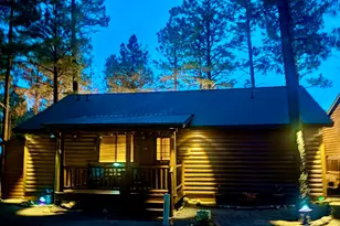 2715 High Pine Loop, Overgaard, AZ 85933 - Photo 50