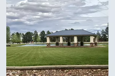 2715 High Pine Loop, Overgaard, AZ 85933 - Photo 44