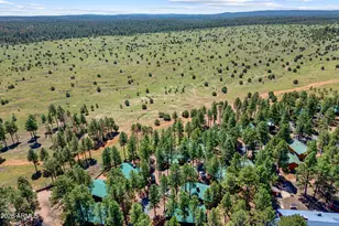 2715 High Pine Loop, Overgaard, AZ 85933 - Photo 34