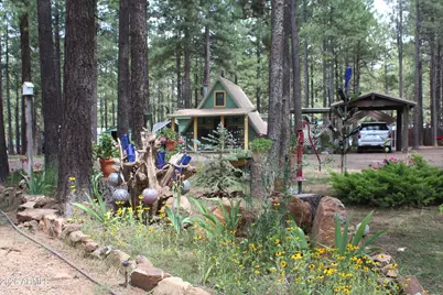 2057 Wildcat Road, Forest Lakes, AZ 85931 - Photo 2