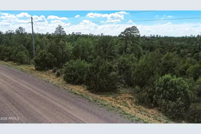 3724 Sunset Ridge Loop #142, Happy Jack, AZ 86024 - Photo 6