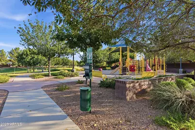 41154 N Soap Berry Street, Queen Creek, AZ 85140 - Photo 26