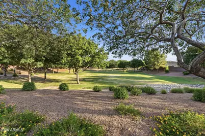 41154 N Soap Berry Street, Queen Creek, AZ 85140 - Photo 28
