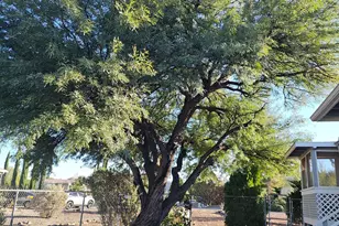 5283 E Brickey Dr, Hereford, AZ 85615 - Photo 14