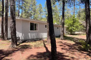 8239 Buck Springs Rd, Pinetop, AZ 85935 - Photo 4