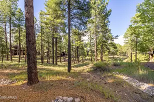 3361 S Tourmaline Dr, Flagstaff, AZ 86005 - Photo 4