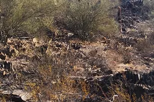 9024 N 28th St, Phoenix, AZ 85028 - Photo 50