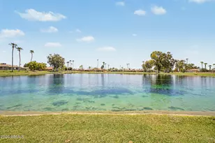 25802 S Howard Dr, Sun Lakes, AZ 85248 - Photo 48