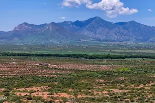 0 S Paloma Trail Lot #2 4 47 Acres --, Hereford, AZ 85615 - Photo 1