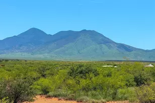 0 S Paloma Trail Lot #5 4 47 Acres --, Hereford, AZ 85615 - Photo 1