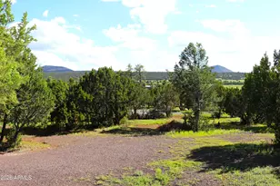 10 N3085, Show Low, AZ 85901 - Photo 24