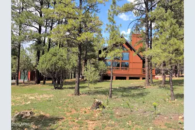 3738 W Apache Drive, Happy Jack, AZ 86024 - Photo 2