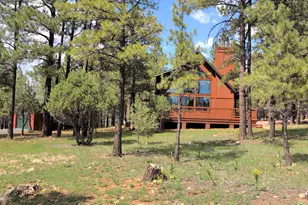 3738 W Apache Dr, Happy Jack, AZ 86024 - Photo 2