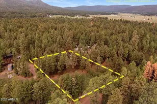 11 Whitetail Rd, Alpine, AZ 85920 - Photo 40