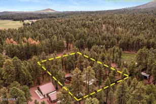11 Whitetail Rd, Alpine, AZ 85920 - Photo 44