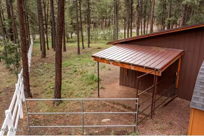 11 Whitetail Road, Alpine, AZ 85920 - Photo 38