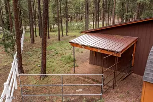 11 Whitetail Rd, Alpine, AZ 85920 - Photo 38