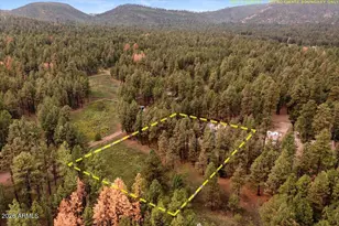11 Whitetail Rd, Alpine, AZ 85920 - Photo 42
