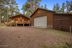 11 Whitetail Rd, Alpine, AZ 85920 - Photo 6