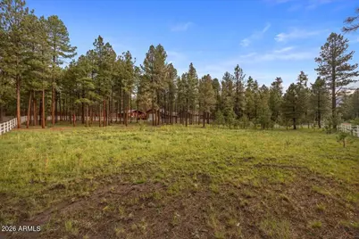 11 Whitetail Road, Alpine, AZ 85920 - Photo 32
