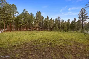 11 Whitetail Rd, Alpine, AZ 85920 - Photo 32