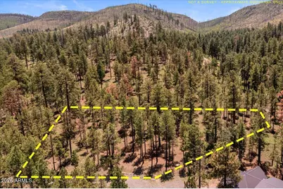 14 County Road N1062 -- #15, Greer, AZ 85927 - Photo 14