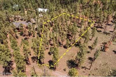 14 County Road N1062 -- #15, Greer, AZ 85927 - Photo 10