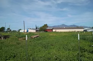 10356 S Palominas Rd, Hereford, AZ 85615 - Photo 8