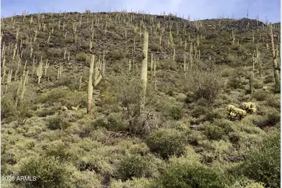 6212 E Carriage Drive #-, Cave Creek, AZ 85331 - Photo 2